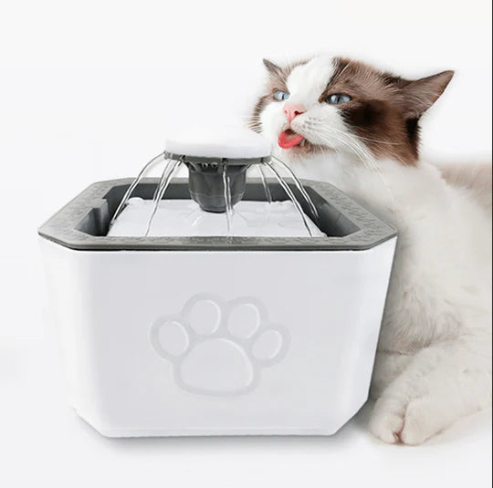 🐶🐱FUENTE DE AGUA ELECTRICA PARA MASCOTAS 🐱🤩